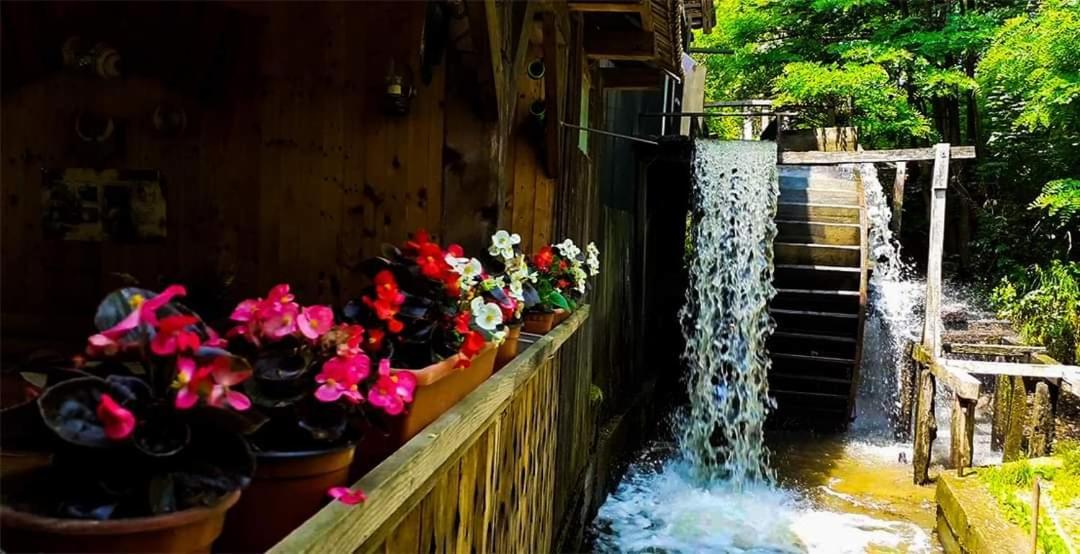 Casa Morii Ohabaヴィラ エクステリア 写真