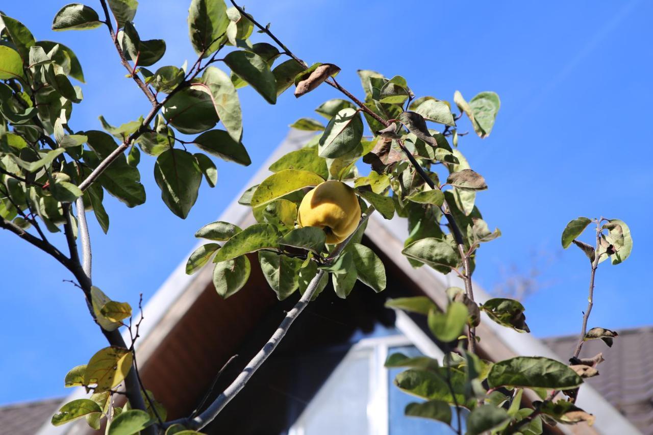 Casa Morii Ohabaヴィラ エクステリア 写真